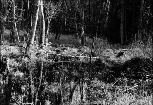 © Josef Safranek