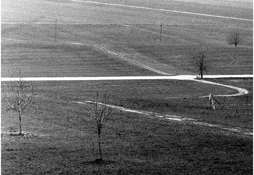 © Josef Safranek