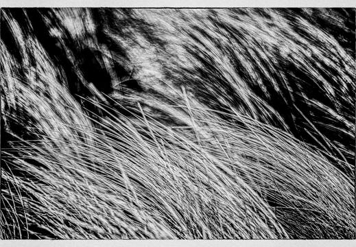 © Ralf Schlieper