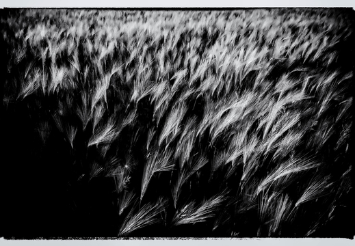 © Ralf Schlieper