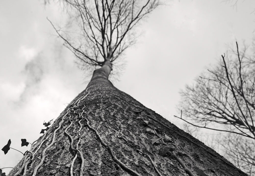 © Ralf Schlieper