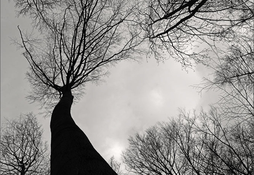 © Ralf Schlieper