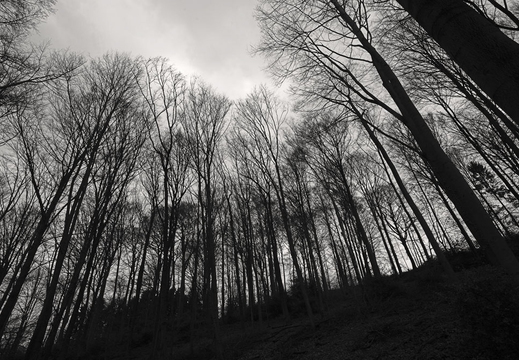 © Ralf Schlieper