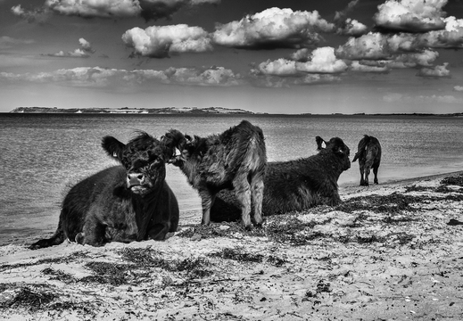 © Ralf Schlieper