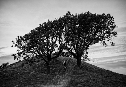© Ralf Schlieper