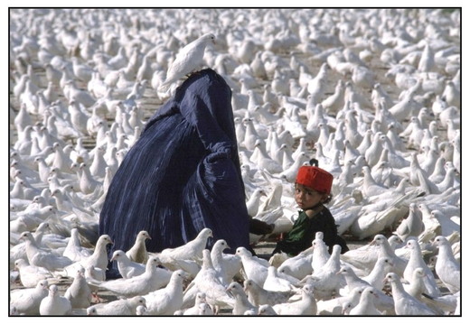 -k-frau-mit-taube-afghan-1986-001