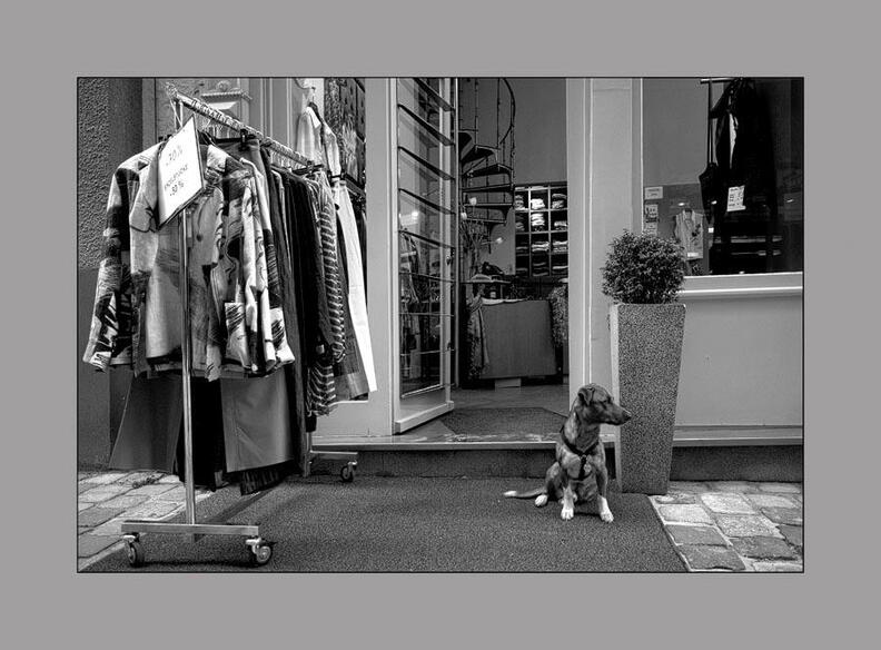 -k-hund-vor-boutique-sw-bearb-kopie.jpg