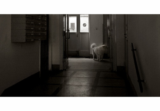 © Christian Fürst