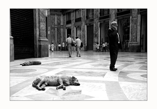-k-napoli-fauele-hunde-sw-0249-02-04-2006-kopie