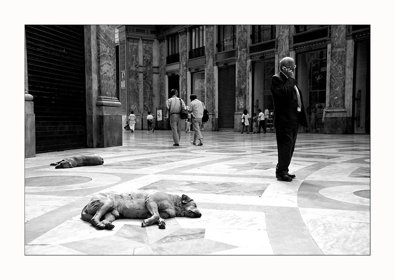 -k-napoli-fauele-hunde-sw-0249-02-04-2006-kopie.jpg