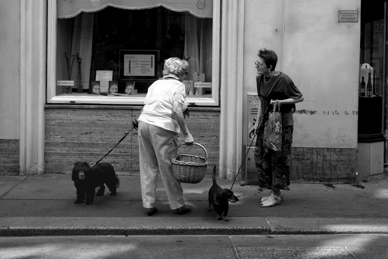 wien-street-018.jpg