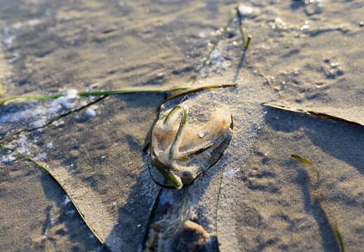 Fehmarn in Farbe