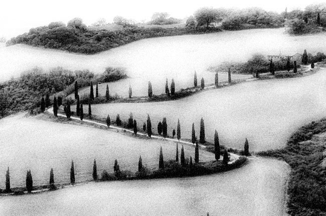 rolf-rock-black-and-white-1289987-002.jpg