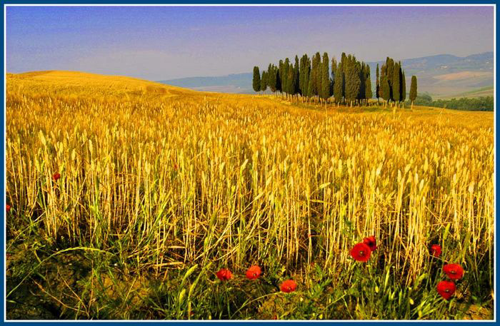 rolf-rock-toscana-2028414-014.jpg